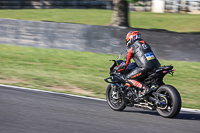 Evening Low_Mid Group Black Bikes